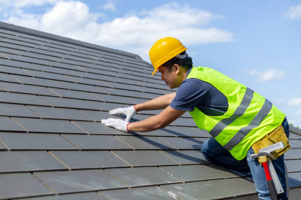 Best Roof Maintenance Services  in Thomasboro, IL