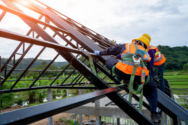 Roof Waterproofing Services in Thomasboro, IL