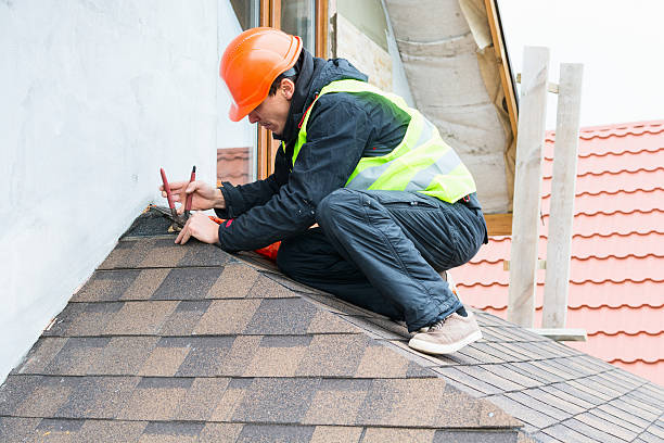 Best Roof Waterproofing Services  in Thomasboro, IL