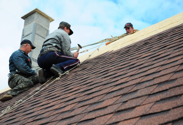 Best Roof Waterproofing Services  in Thomasboro, IL